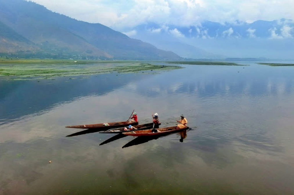 Govt mulls lifting Jhelum water to revive Kashmir’s only olive belt