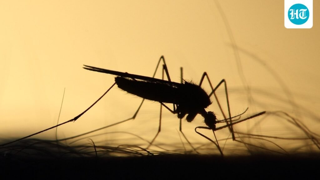 Answer to a malaria-free India lies in the Mandla tribes