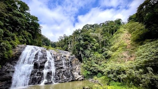 From mist-covered mountains to rain-soaked forests, these 6 monsoon destinations are perfect for a quick escape