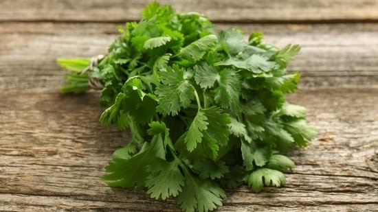 Stop throwing away coriander stems: Chef Ranveer Brar says never waste ‘dhaniya ki dandi’ as it packs all the flavour