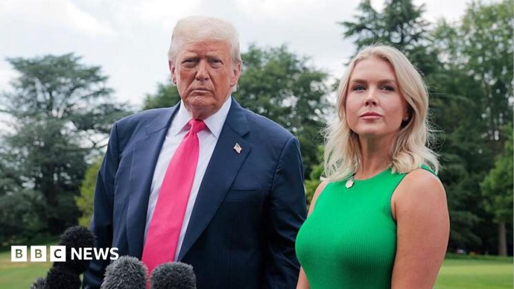 Who could potentially replace White House Press Secretary Karoline Leavitt?