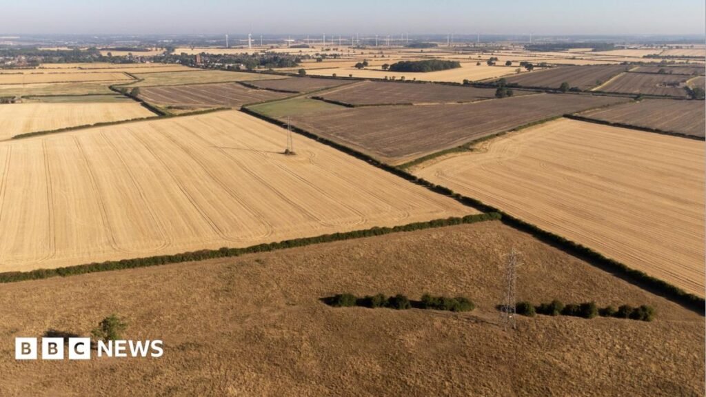 Drought could cause shortage of certain foods, head of National Farmers Union warns