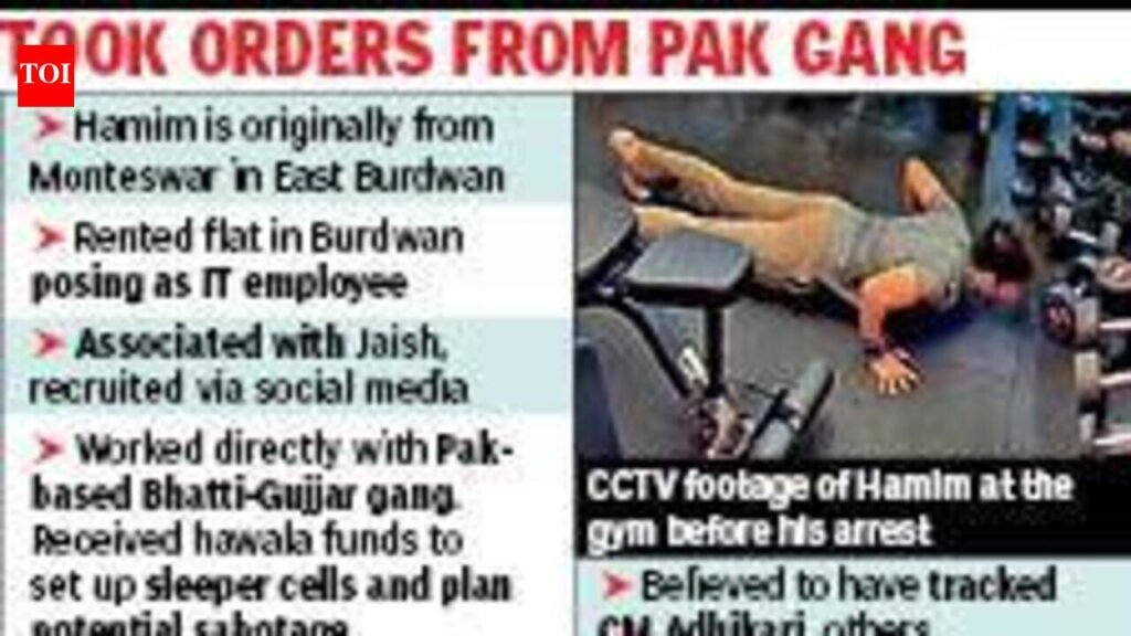Suspected JeM Operative Arrested by STF in Burdwan | Kolkata News