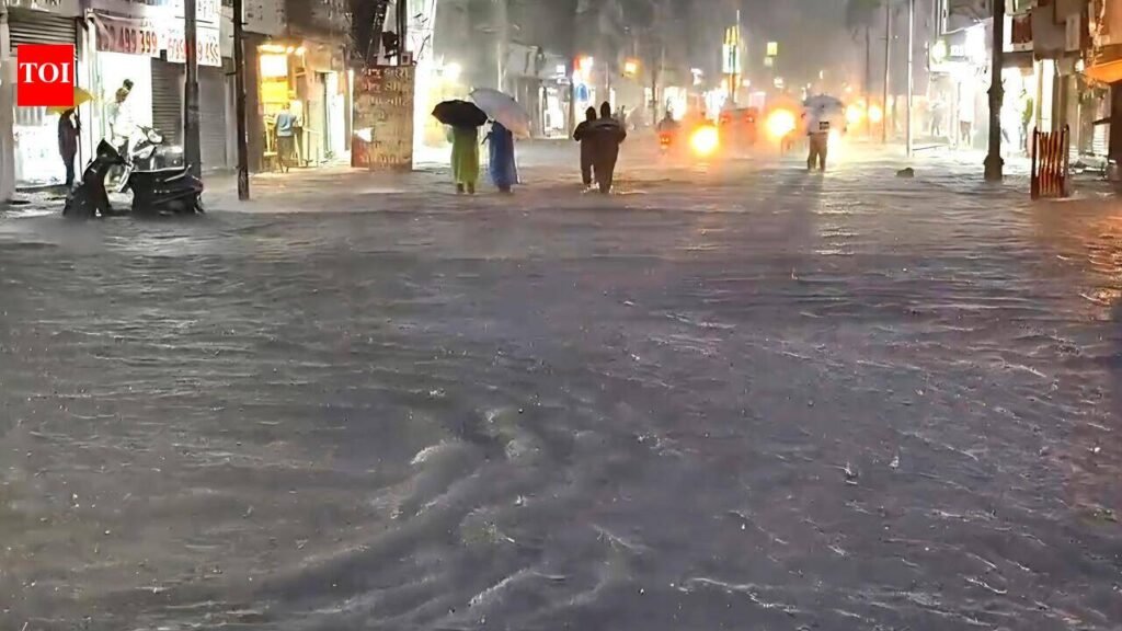 Rain fury keeps Vadodara on high alert; 320 shifted, 47 pregnant women evacuated | Vadodara News