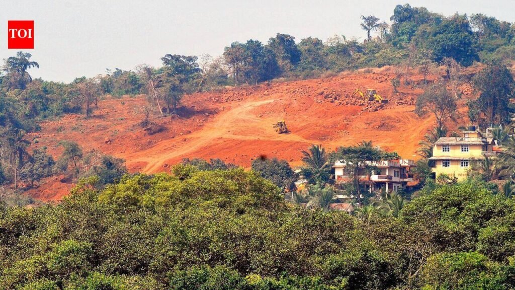 Forest dept sets up dedicated unit for compensatory afforestation | Goa News