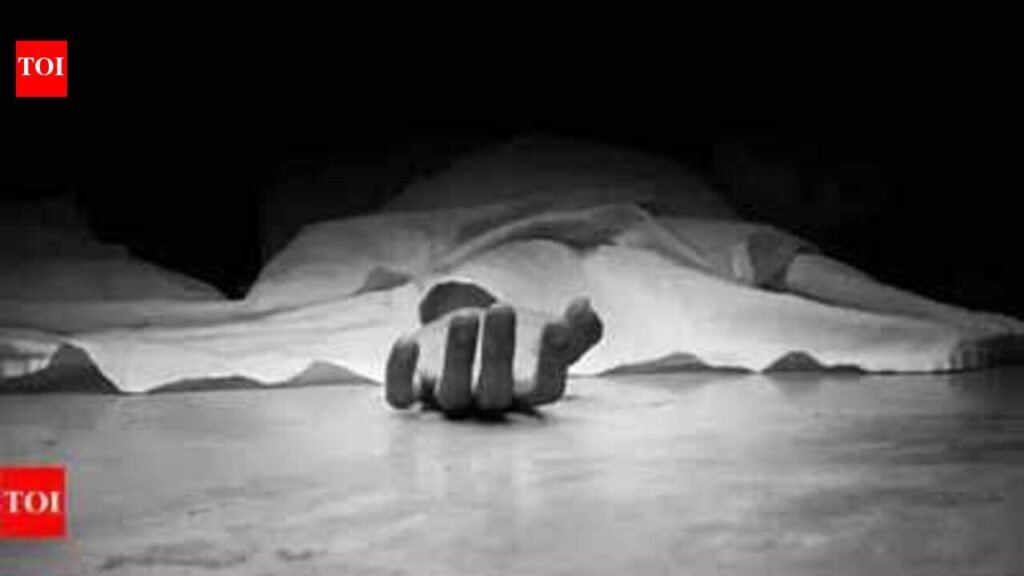 Siblings kill mother, younger brother for property; 5 held | Chennai News
