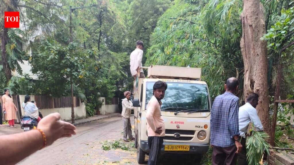 Trees cut inside AMC garden office premises, supervisor gets notice | Ahmedabad News