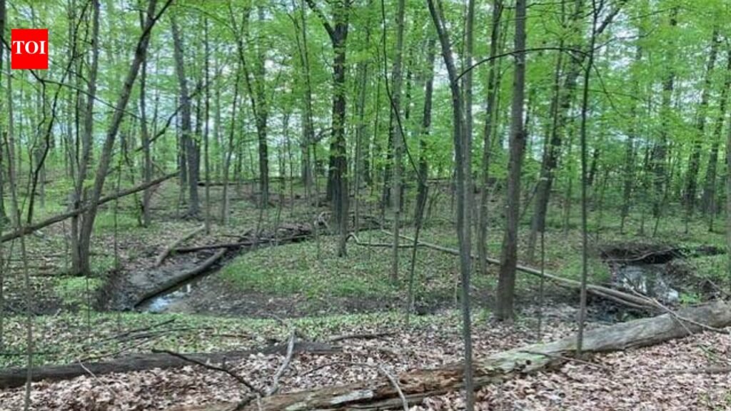 A Michigan woman owns 19 acres between two planned Toll Brothers communities; she is suing over her only access route and a proposed wastewater discharge