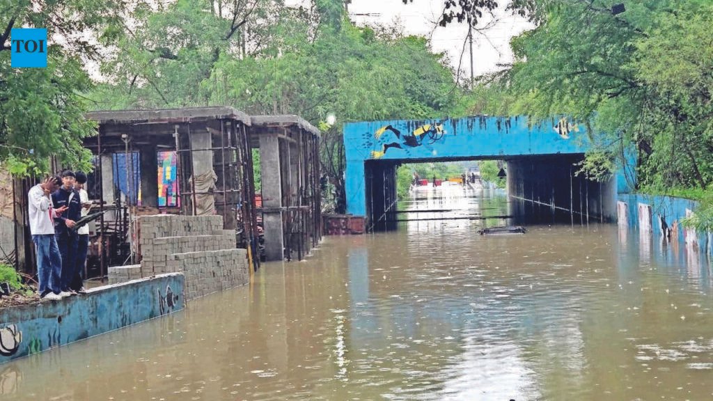 HC Raps NMC Over Flooding, Seeks Permanent Solutions | Nagpur News