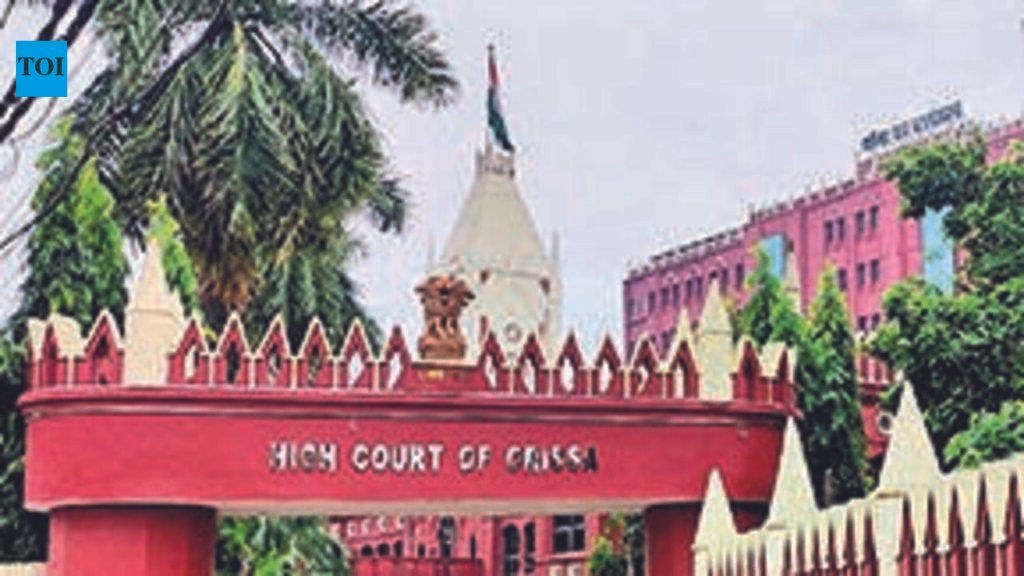 HC grants interim relief to social media content creator | Bhubaneswar News