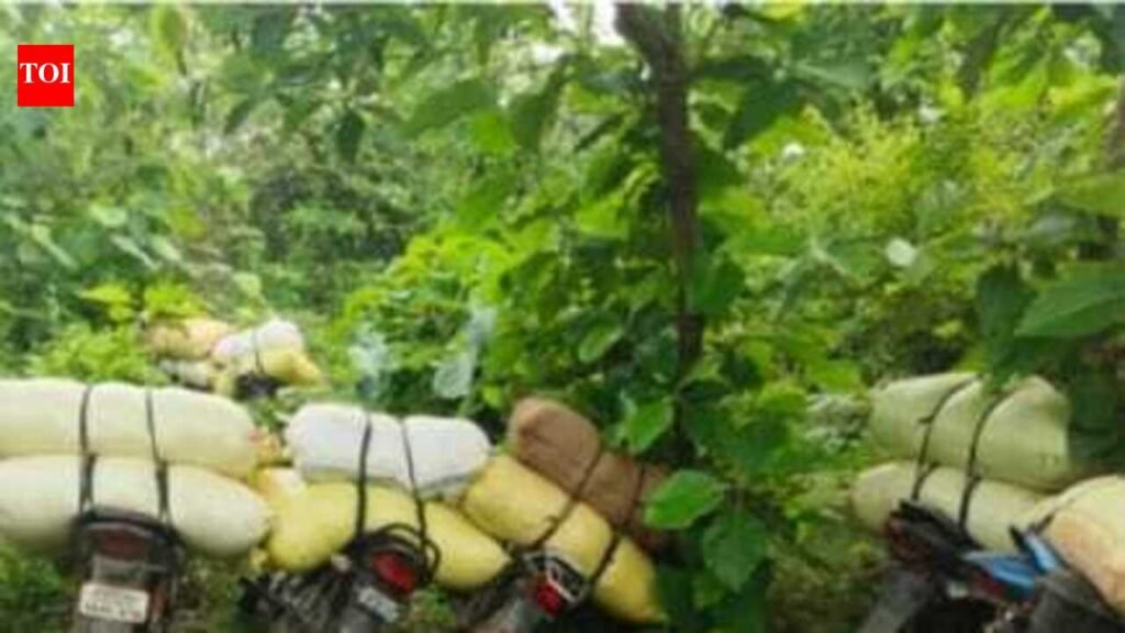 Police seize 3k litres of mahua liquor in Gaya raids | Patna News