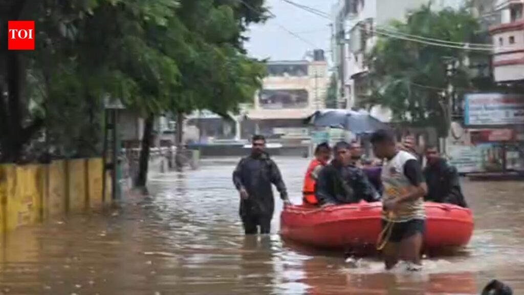 No respite from flooding in South Gujarat | Surat News
