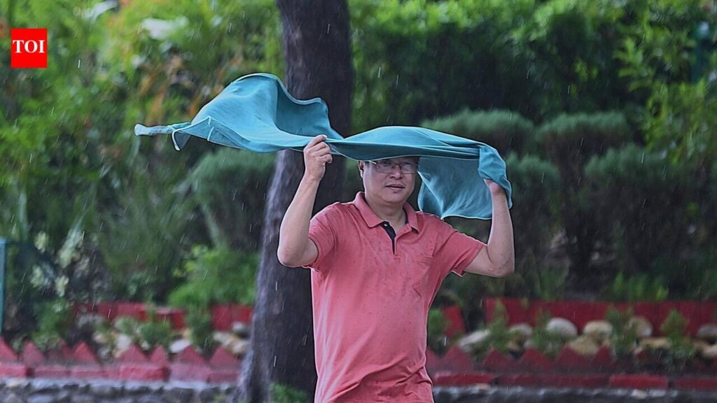 Aug likely to be drier than usual, warmer nights likely | Chandigarh News