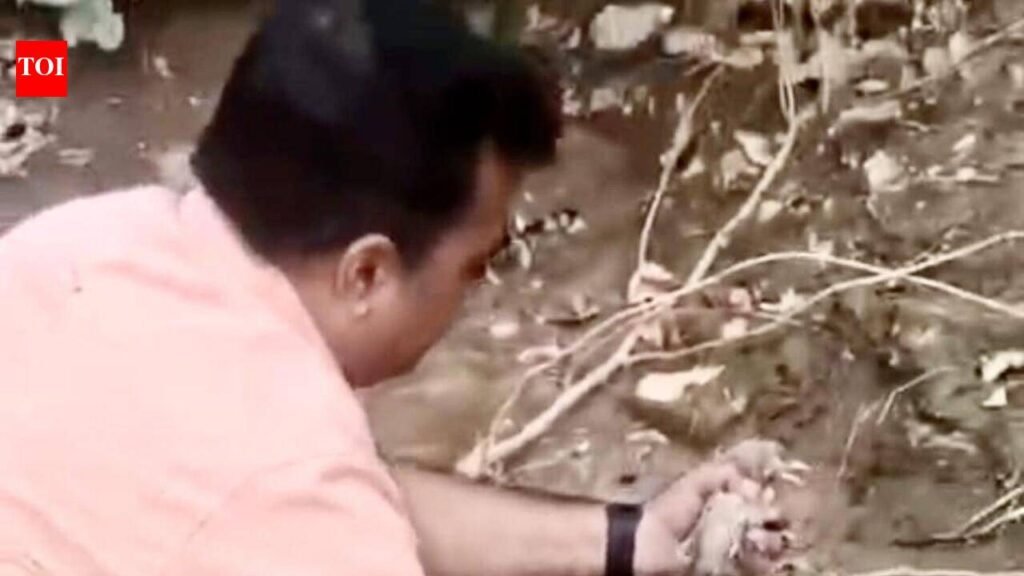 When trash finds its wings: Students build 250 shelters for birds in Noida | Noida News