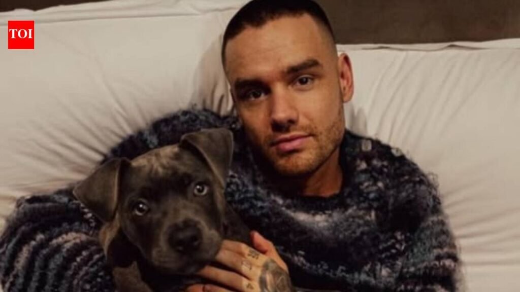 Liam Payne’s final hours: Two women from escort services hired by ‘One Direction’ singer reveal details of his hotel room chaos |