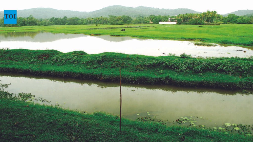 Pernem accounts for over half of 71,916 sq m proposed for settlement zone in latest TCP notification | Goa News