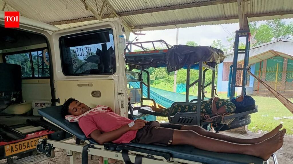 Rickshaw turns refuge as floods cripple healthcare facilities | Guwahati News