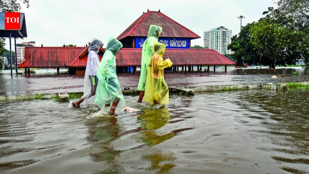 Monsoon hope as WMO sees an El Niño counter | India News
