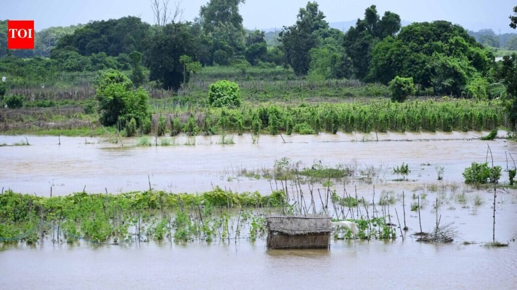 Floodwaters recede, damage assessment begins | Bhubaneswar News