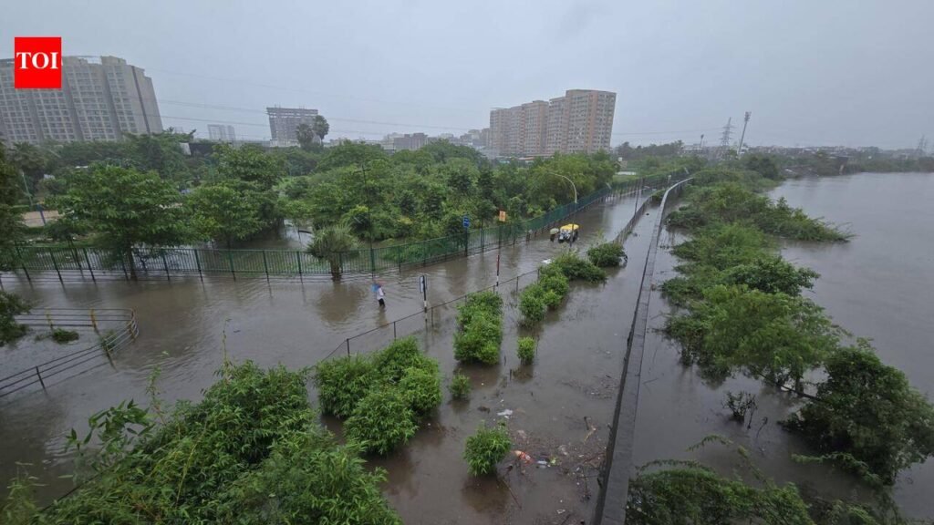 Flood misery persists in south Gujarat | Surat News