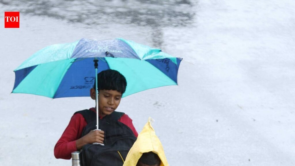 Bengaluru records second-driest July in 108 years as monsoon falters | Bengaluru News