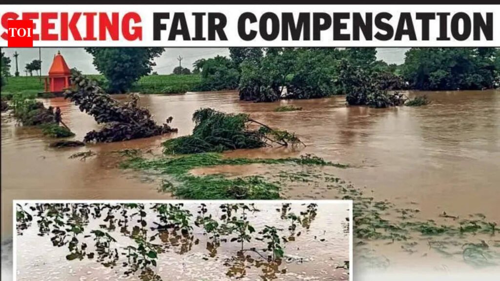 Orchards & crops ruined, Vidarbha ryots want relief | Nagpur News