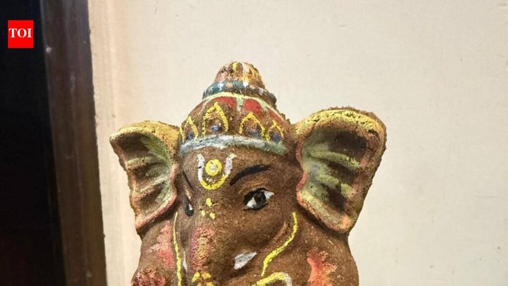 RAS officer crafts cow dung Ganesh idols for eco-friendly celebrations | Jaipur News