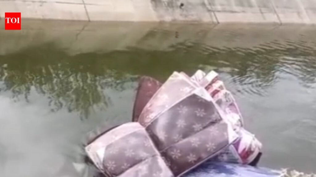 Mattress Trader Drowns as Auto-Rickshaw Plunges Into Krishna Canal | Chennai News