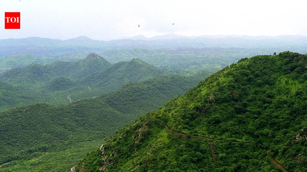SC panel to start survey for report on what makes Aravalis | Gurgaon News