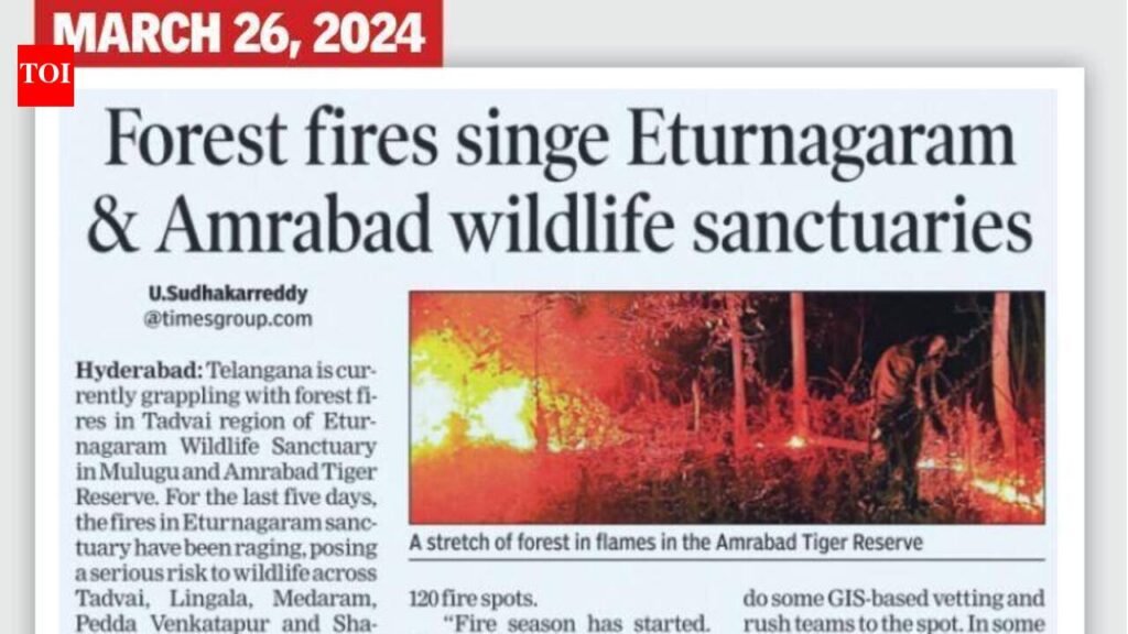 After NGT push, T proposes ₹27cr plan to curb forest fires | Hyderabad News