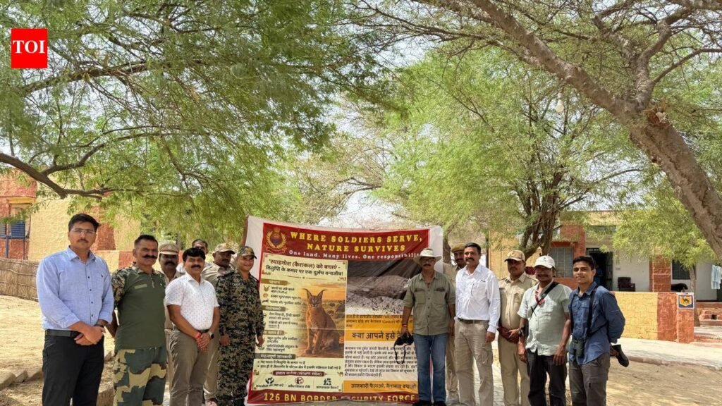 BSF joins Raj forest department to protect caracal along Jaisalmer border | Jaipur News