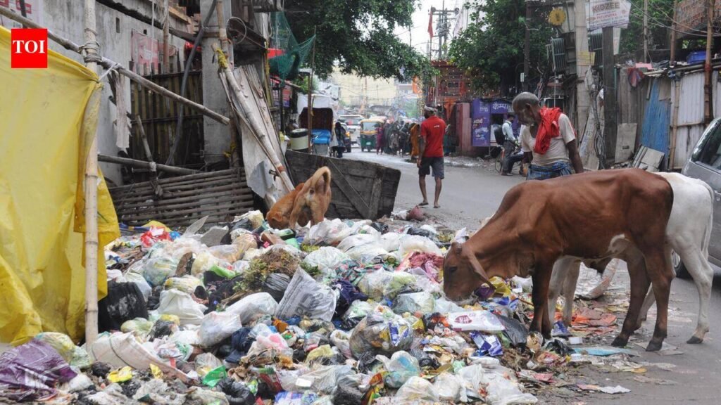 Rain worsens garbage disposal crisis amid sanitation workers’ strike in Patna | Patna News
