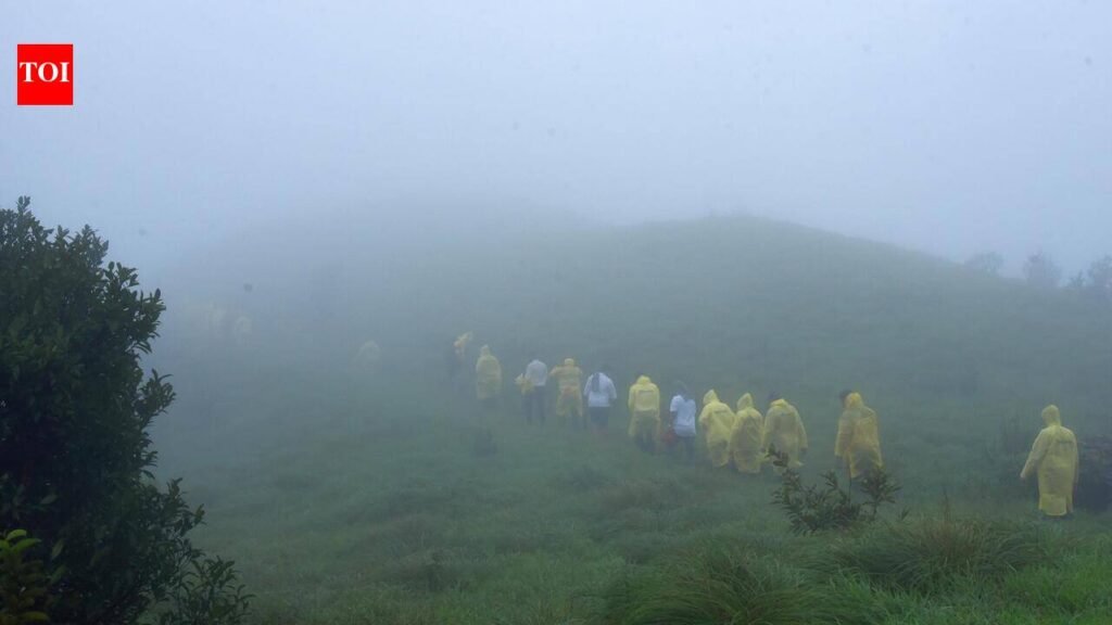 Monsoon fury shuts trekking trails across Kudremukh division | Mangaluru News