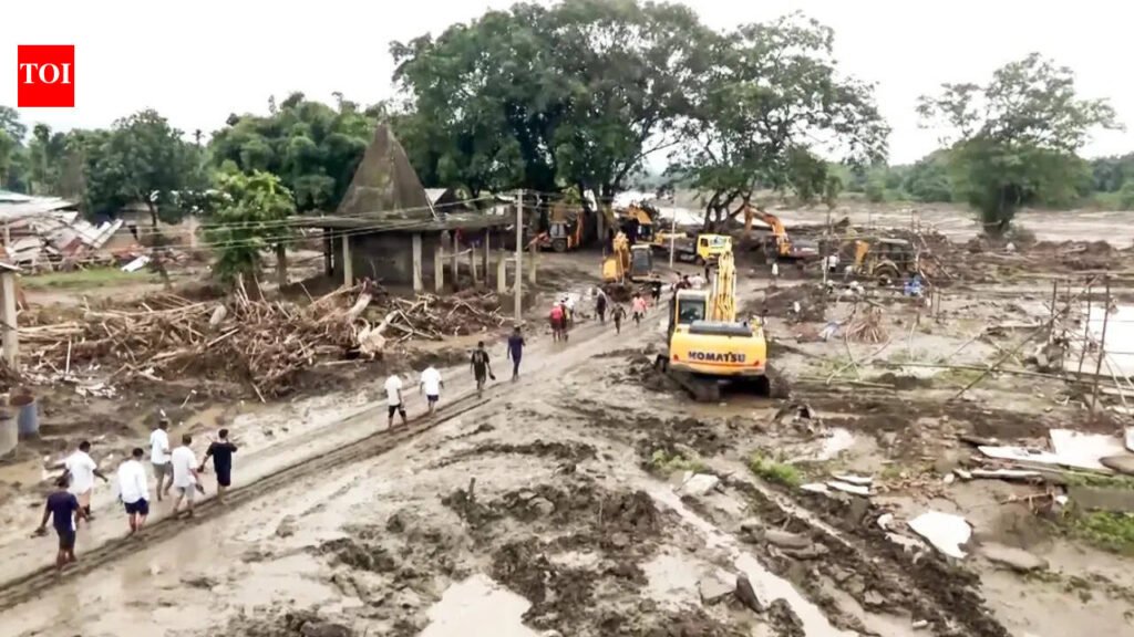 Assam floods: Toll rises to 87; 1.28 lakh still affected across 7 districts | Guwahati News