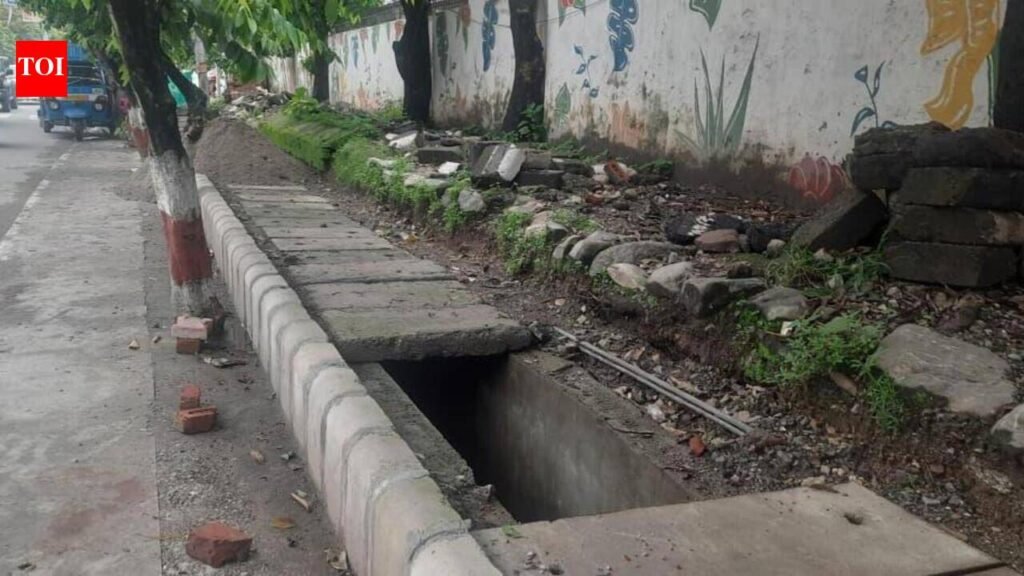 Shivamogga City Corporation steps up footpath encroachment drives | Mysuru News