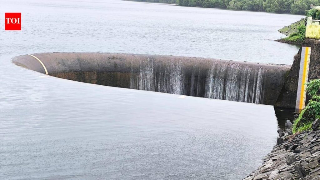 Three dams in state full, WRD expects rest to fill by Aug 15 | Goa News