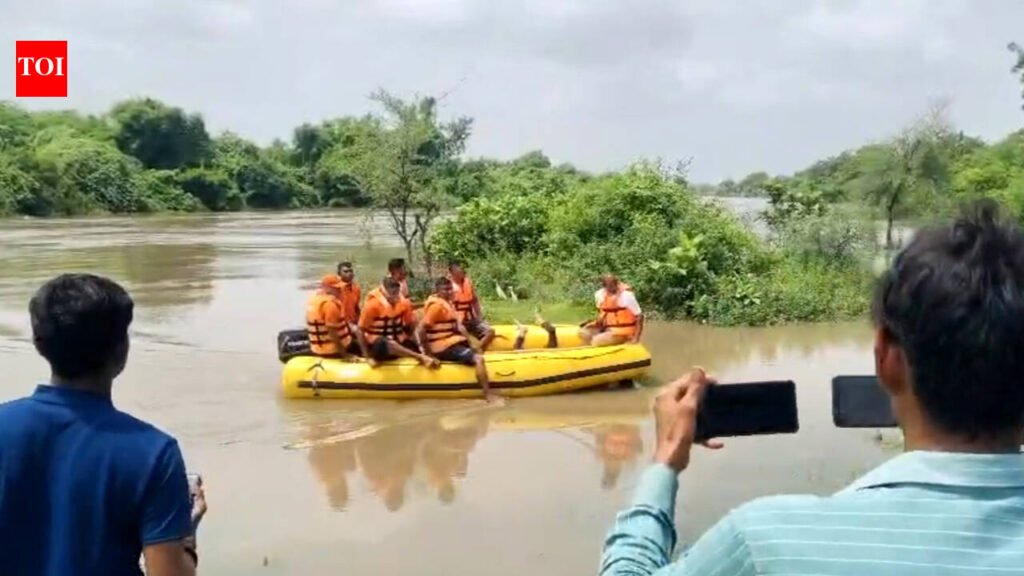 Body of girl killed by crocodile found | Vadodara News