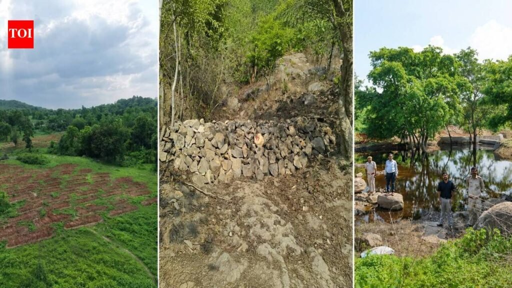 Medininagar forest division completes ridge-to-valley watershed project | Ranchi News