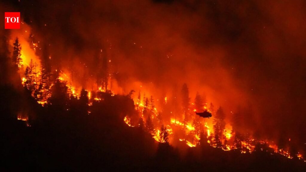 When wildfires make their own weather: As France sees its first fire cloud, should India be worried? | India News