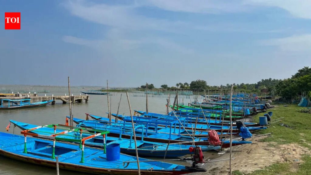 National Green Tribunal proceeds ex parte in Chilika jetty case | Bhubaneswar News