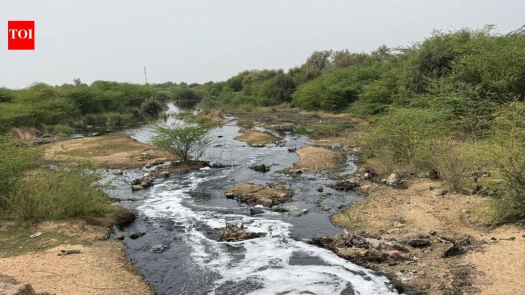 SC for 20-point plan to tame Jojari, Bandi, Luni pollution | Jaipur News