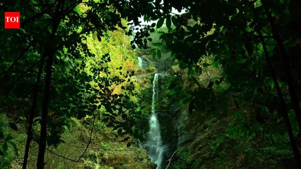 CM urges safety precautions amid rise in waterfall drownings | Goa News