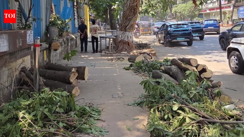 Mumbai’s Khar tree fall: Survivor discharged after 82 days, physiotherapy next | Mumbai News