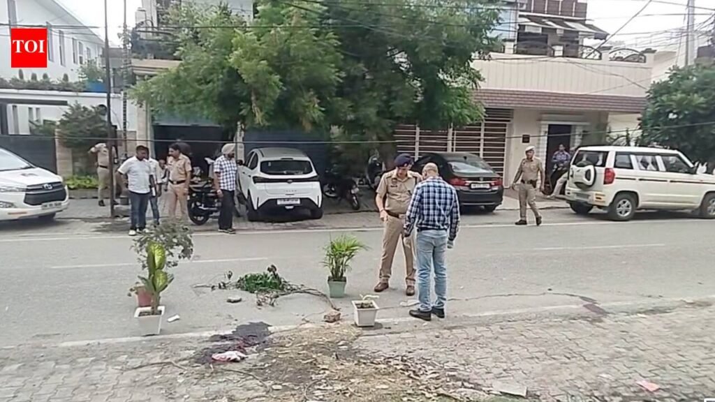 Man beaten to death with brick in Yamunanagar; accused on the run | Chandigarh News