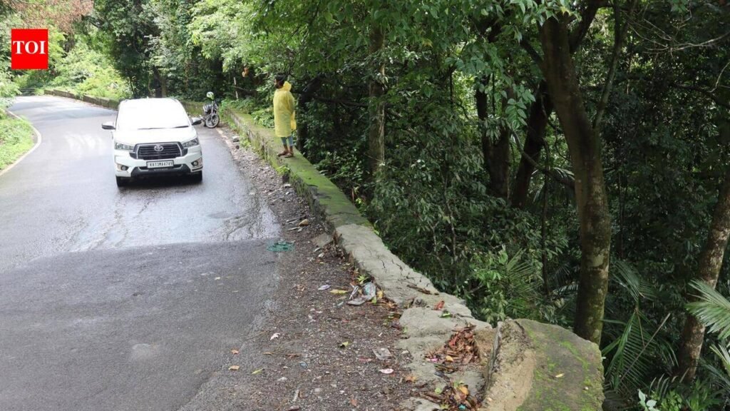Monsoon & landslides make Agumbe Ghat a high-risk route | Mysuru News