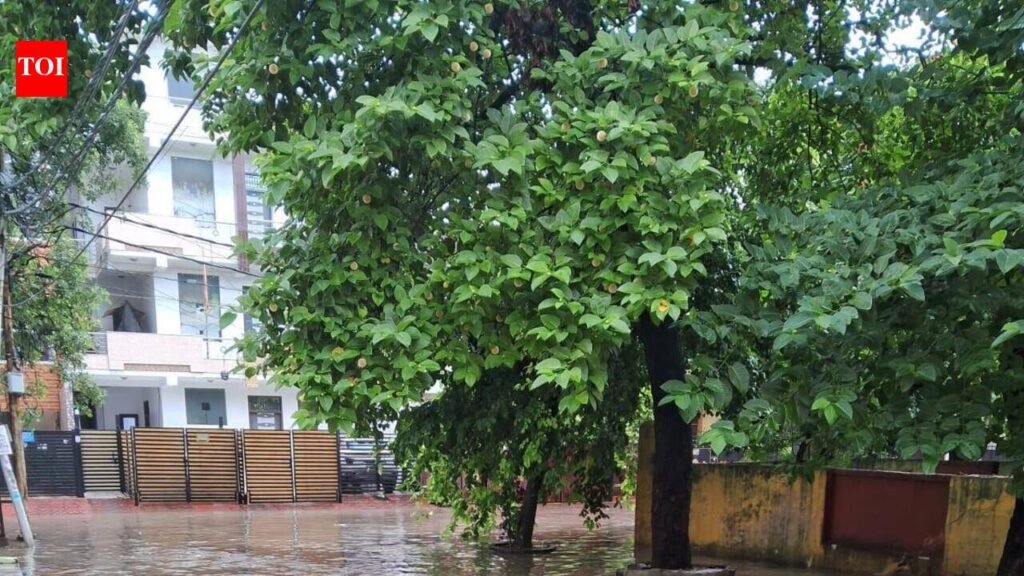 City receives 64.4 mm rainfall, showers likely to continue today | Kanpur News