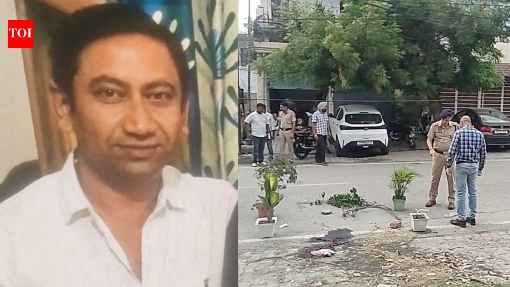 Property dealer bludgeoned to death in broad daylight attack in Haryana’s Yamunanagar | Gurgaon News