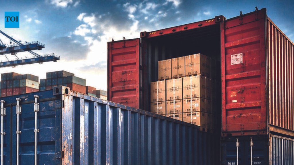 DRI seizes 13 containers of illegally imported Pak dates at Kandla port | Rajkot News