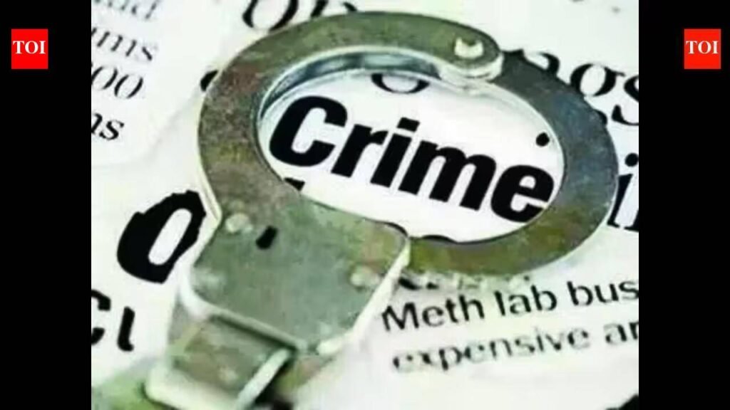 Mumbai Police Arrest Man in Goa for 2017 Andheri Scrap Dealer Murder | Mumbai News