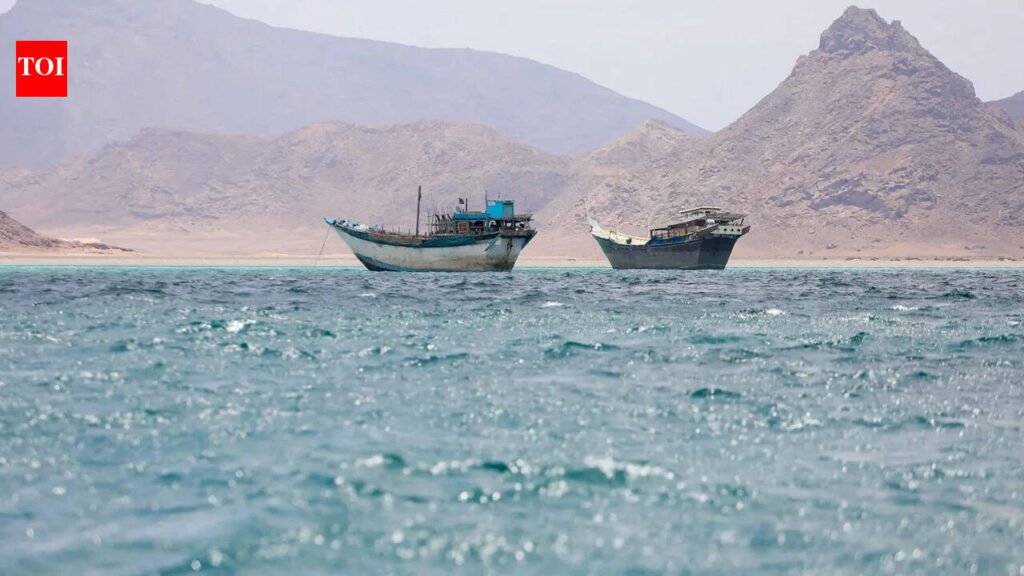 25 India-bound ships in Hormuz; government set to evacuate 13 soon | India News